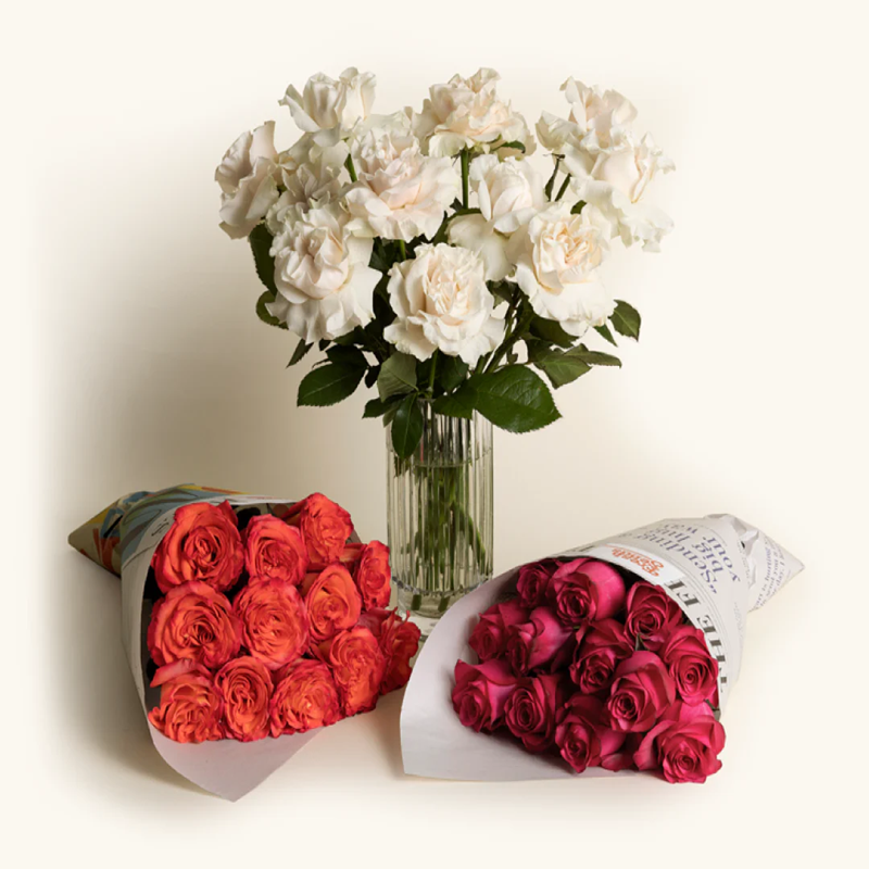 Fresh Rose Flowers